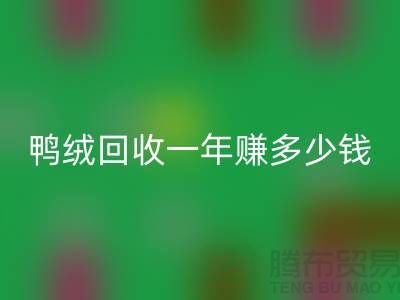 鸭绒乐动在线登录一年挣多少钱？揭秘利润与环保的双重收益