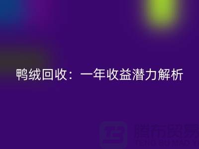 鸭绒乐动在线登录：一年收益潜力解析@上海腾布贸易