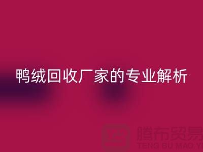 90%白鹅绒、90%白鸭绒与90%灰鸭绒：上海鸭绒乐动在线登录厂家的专业解析