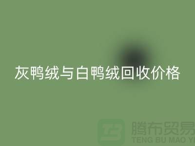 ### 灰鸭绒与白鸭绒：价格及乐动在线登录详解