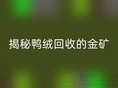 揭秘鸭绒乐动在线登录的金矿，一年能挣多少钱？上海羽绒乐动在线登录厂家