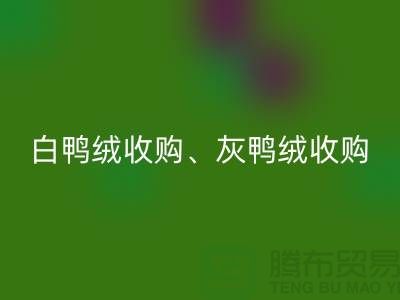 白鸭绒收购、灰鸭绒收购、白鹅绒收购、灰鹅绒收购、上海羽绒乐动在线登录厂家
