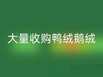 专业羽绒FH官方网页版-大量收购鸭绒鹅绒-杭州服装FH官方网页版厂家