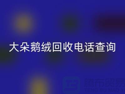 ### 日标羽绒乐动在线登录，大朵鹅绒乐动在线登录电话查询，南京鸭绒乐动在线登录公司