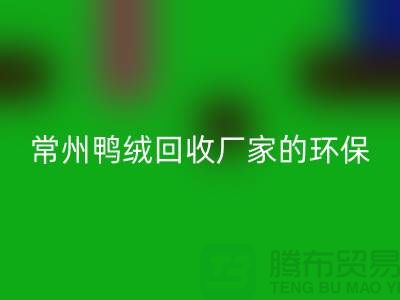 # 专业羽绒乐动在线登录：常州鸭绒乐动在线登录厂家的环保与价值之旅