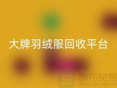 羽绒服焕新记：大牌乐动在线登录，温暖再续