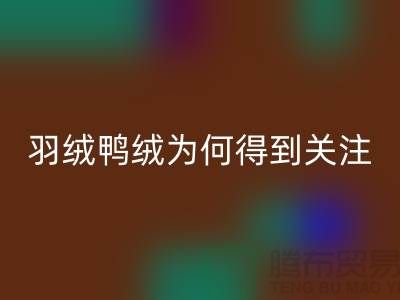 羽绒鸭绒乐动在线登录公司为何得到所有人关注_乐动在线登录