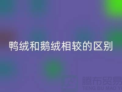 鸭绒和鹅绒相较后的区别-90鸭绒乐动在线登录-库存羽绒乐动在线登录公司