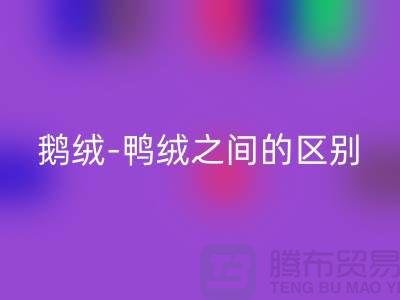 关于鹅绒-鸭绒之间的区别-鹅绒乐动在线登录-鸭绒乐动在线登录-羽绒乐动在线登录厂家