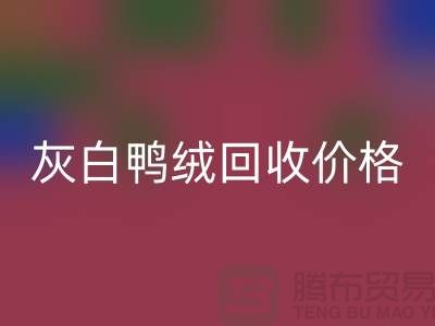 灰白鸭绒乐动在线登录价格：环保与时尚的完美结合-杭州羽绒乐动在线登录厂家