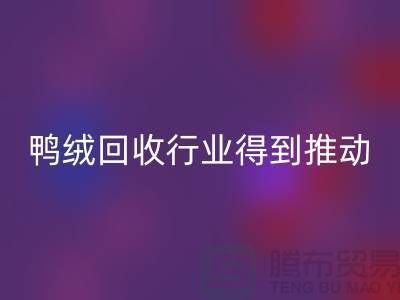 90鸭绒乐动在线登录行业2021年得到极大的推动_乐动在线登录