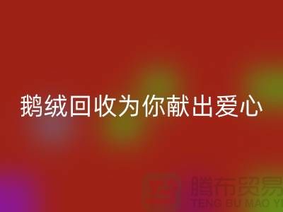 漂白鹅绒乐动在线登录为你献出一份爱心-90鸭绒乐动在线登录价格-国标羽绒乐动在线登录