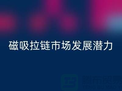 磁吸拉链市场发展潜力研究分析报告_上海拉链乐动在线登录公司