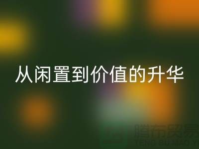 羽绒服乐动在线登录：从闲置到价值的升华之路