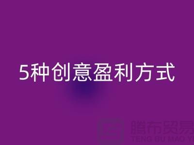 酒店用品乐动在线登录：5种创意盈利方式