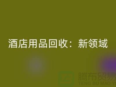 酒店用品乐动在线登录：新领域探索与盈利模式创新