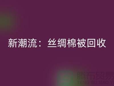 环保新潮流：丝绸棉被乐动在线登录，价格让您惊喜连连！