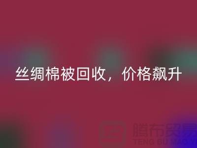 从废品到财富：丝绸棉被乐动在线登录，价格飙升！