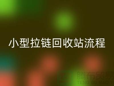 个人拾荒者与小型拉链乐动在线登录站的具体流程及利润点