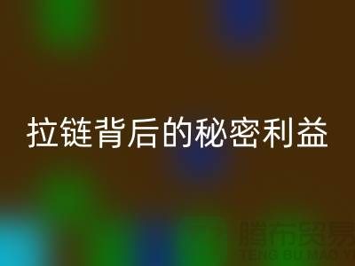 # 拉链乐动在线登录解密：一吨拉链背后的秘密利益