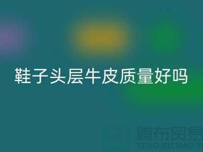 鞋子头层牛皮和超纤皮哪个好——乐动在线登录真皮厂家