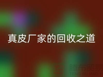 探寻真皮厂家的乐动在线登录之道：打造环保时尚新潮流