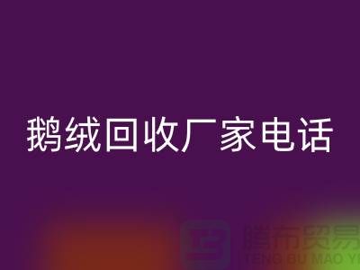 鹅绒乐动在线登录厂家联系电话号码是多少号