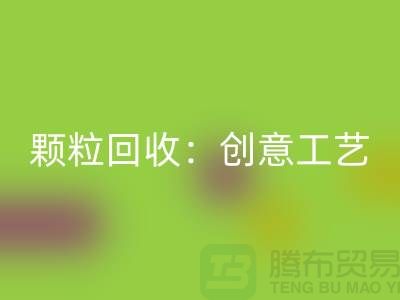 # 走进再生塑料颗粒乐动在线登录：创意工艺探秘
