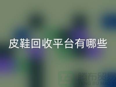 真皮皮鞋乐动在线登录平台有哪些——上海光头库存乐动在线登录公司
