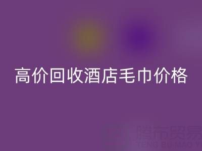徐州乐动在线登录毛巾浴袍，高价乐动在线登录酒店毛巾价格——上海腾布贸易公司