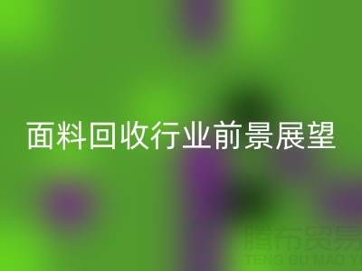 南通库存面料乐动在线登录行业前景展望：开启新篇章