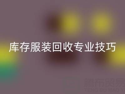 独家揭秘：南通库存服装乐动在线登录专业技巧，帮您畅销一空