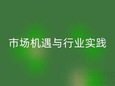 环保新蓝海，衣服辅料FH官方网页版的市场机遇与行业实践
