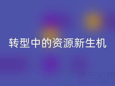 上海服装面料乐动在线登录：绿色转型中的资源新生机