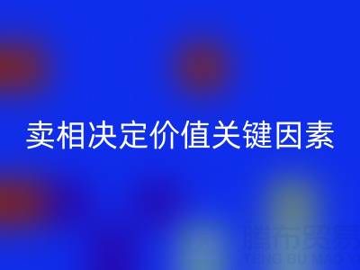 杭州真丝面料乐动在线登录价格全解析：卖相决定价值的关键因素