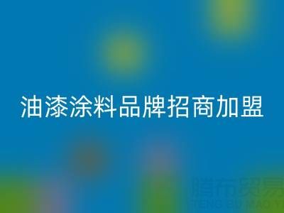 油漆涂料品牌招商加盟方案——携手油漆涂料乐动在线登录厂家，共创财富未来