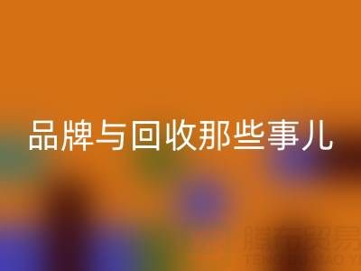 探寻油漆涂料世界：知名品牌与乐动在线登录那些事儿