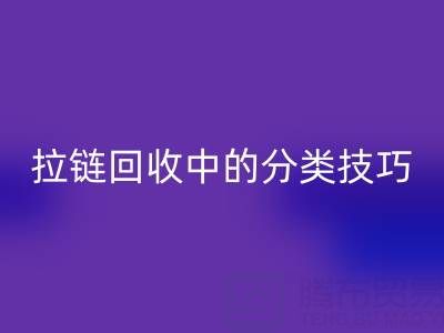 拉链FH官方网页版中的分类技巧：提高FH官方网页版效率的秘诀