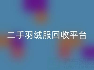 蒙口羽绒服乐动在线登录价格表大全——二手羽绒服乐动在线登录平台完全指南