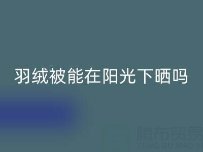 羽绒被能在阳光下晒吗？——上海鸭绒乐动在线登录厂家揭秘