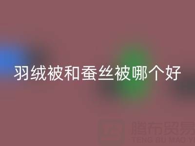 羽绒被和蚕丝被哪个好？——上海鸭绒乐动在线登录厂家深度剖析