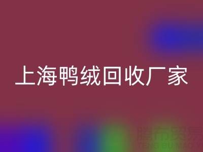 羽绒被内胆布料选购指南：上海鸭绒乐动在线登录厂家的专业建议