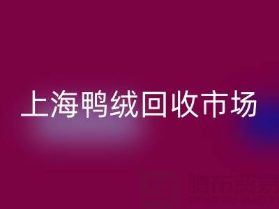 上海鸭绒乐动在线登录市场解析：羽绒被乐动在线登录价格的决定因素与产业价值
