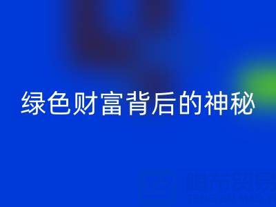 探秘上海库存真丝乐动在线登录厂家：绿色财富背后的神秘世界